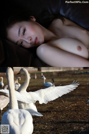 A naked woman is posing on a bed. 